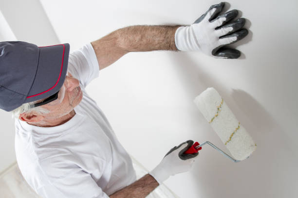 Best Drywall Removal and Disposal  in Boonville, CA